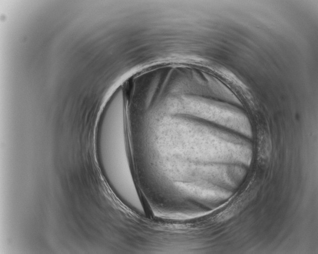 X0000087401280200705042026