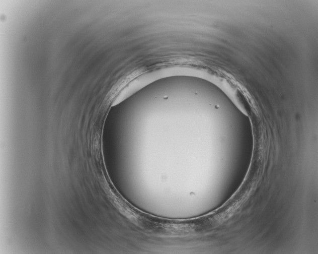 X0000087401281200705042026