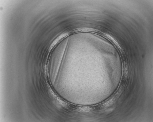 X0000087401282200705042026