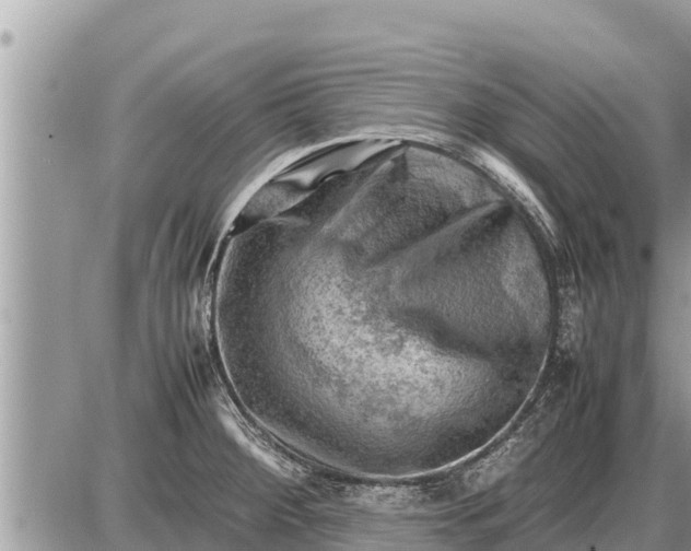 X0000087401284200705042026