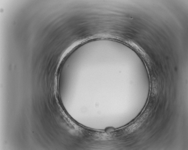 X0000087401286200705042026