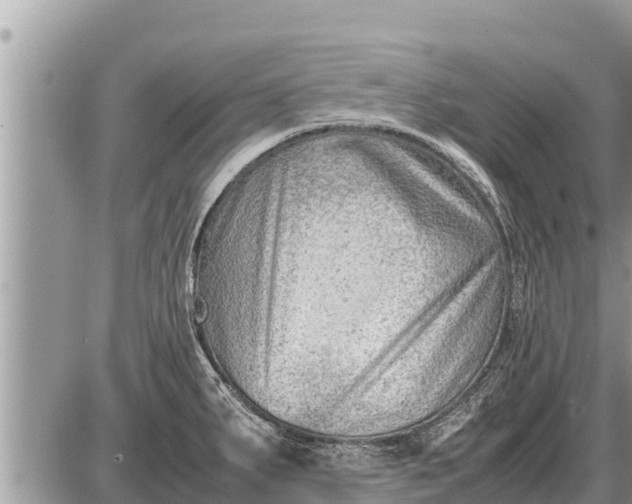 X0000087401287200705042026