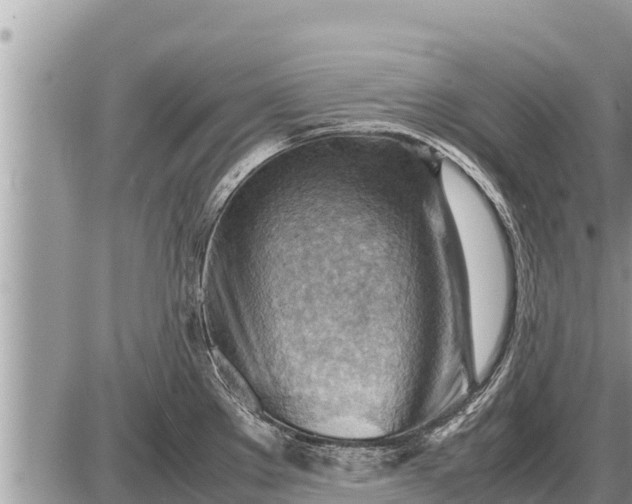 X0000087401289200705042026