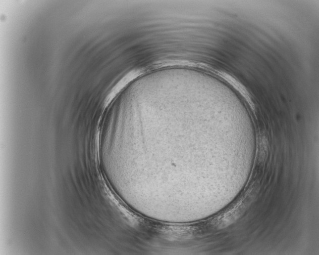 X0000087401290200705042026