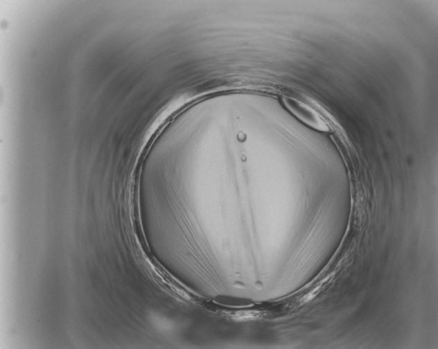 X0000087401291200705042026