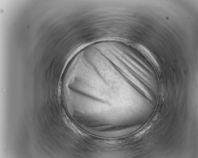 X0000087401292200705042026