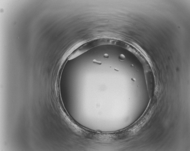 X0000087401293200705042026