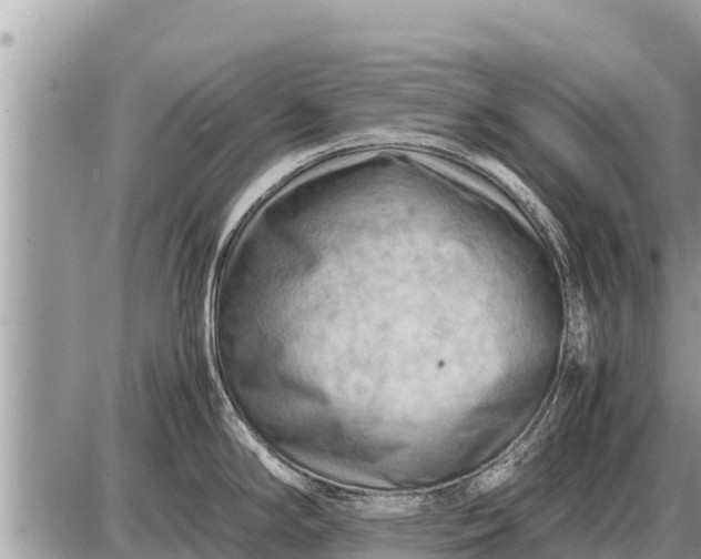 X0000087401294200705042026