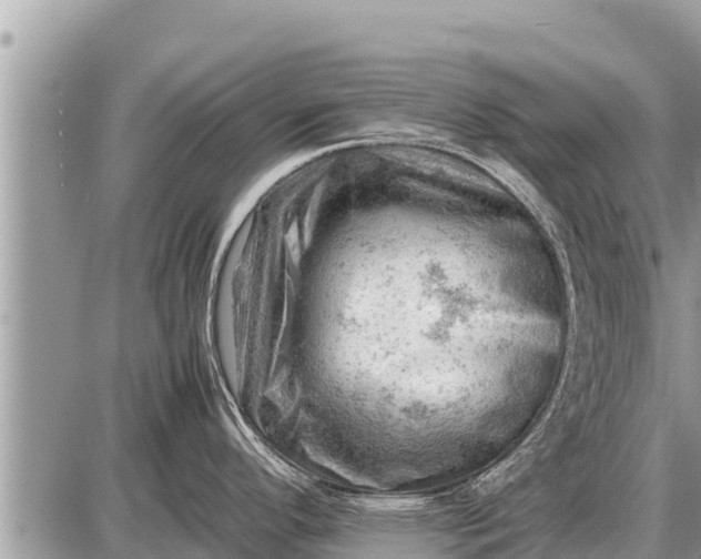 X0000087401296200705042026