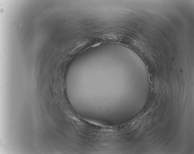 X0000087401297200705042025