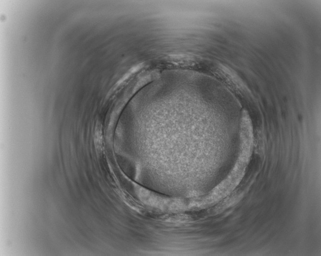 X0000087401298200705042025