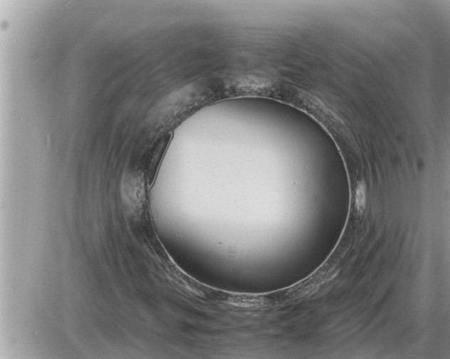 X0000087401299200705042025