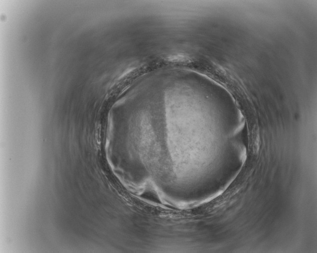 X0000087401301200705042025