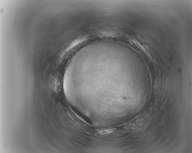 X0000087401303200705042025