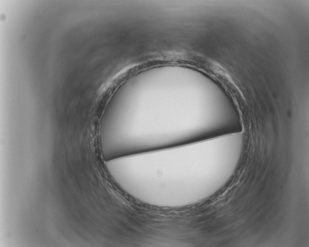 X0000087401304200705042025