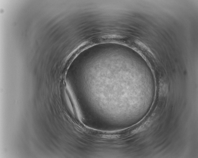 X0000087401305200705042025