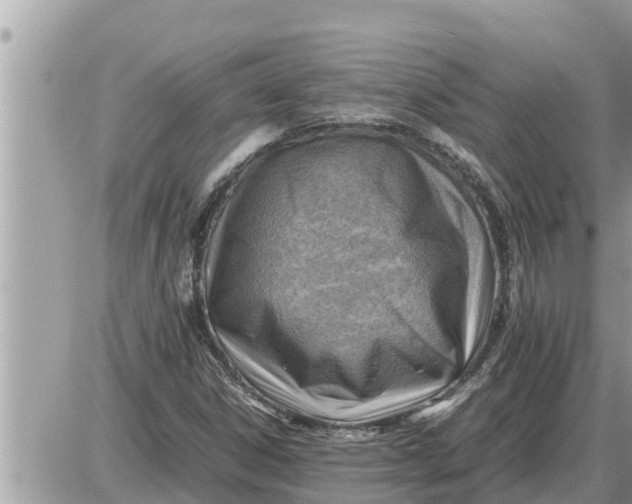 X0000087401306200705042025