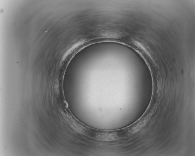 X0000087401307200705042025