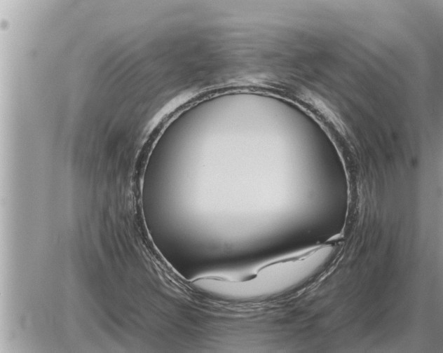 X0000087401308200705042025