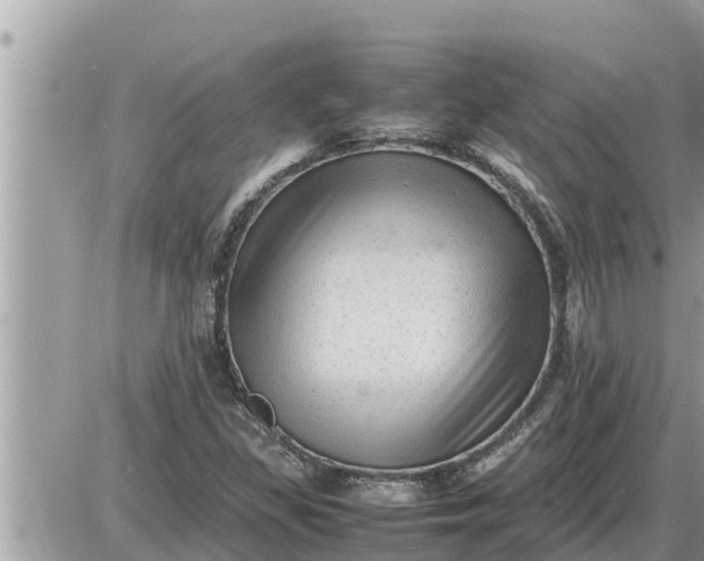 X0000087401309200705042025