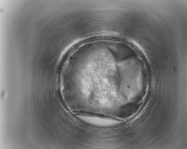 X0000087401310200705042025