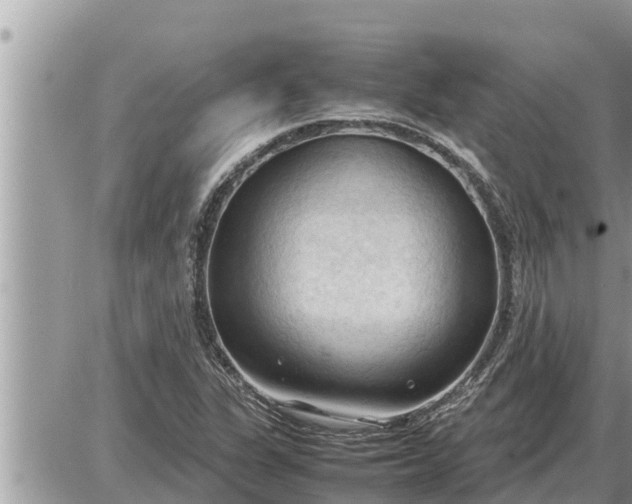 X0000087401311200705042025