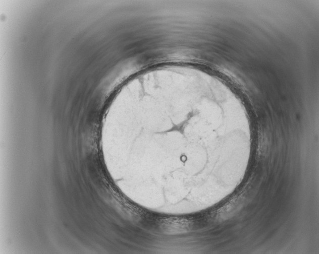 X0000087401314200705042025