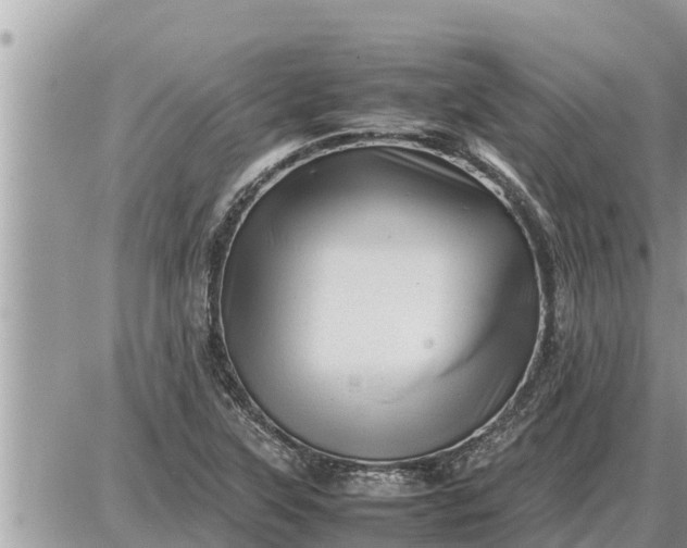 X0000087401315200705042025