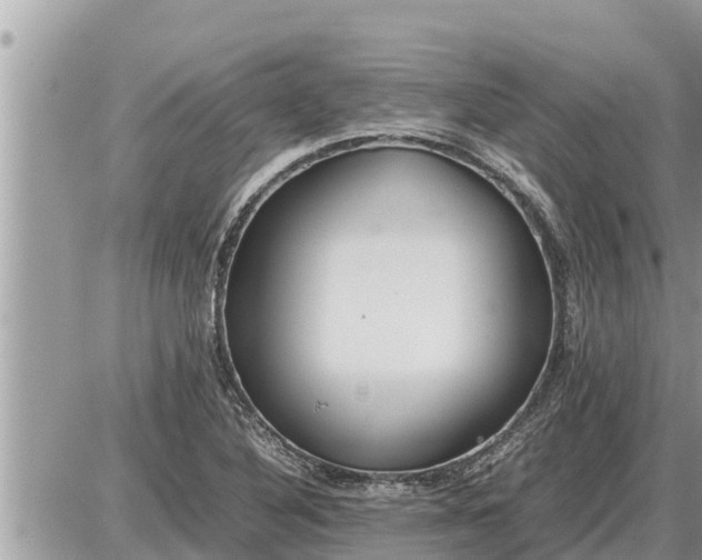 X0000087401316200705042025