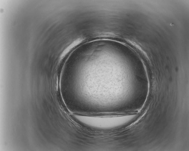 X0000087401317200705042025