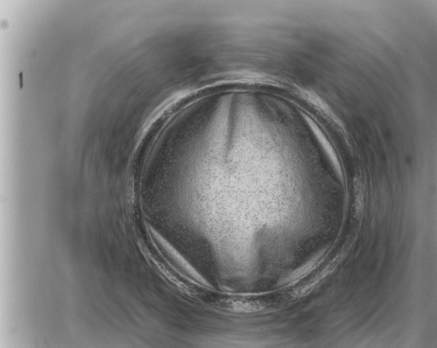 X0000087401318200705042025