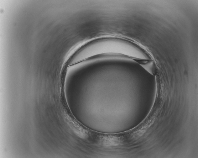 X0000087401319200705042025