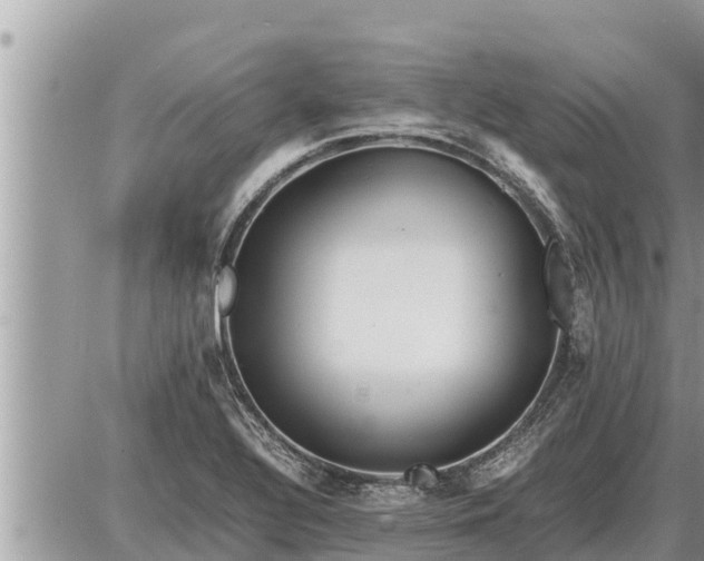 X0000087401320200705042025