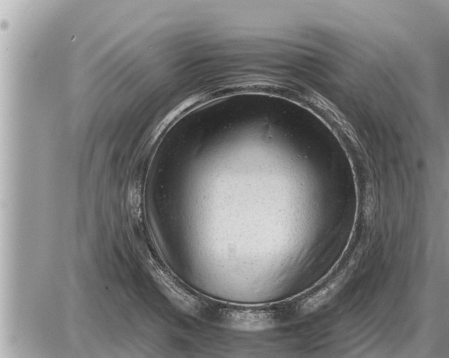 X0000087401321200705042025