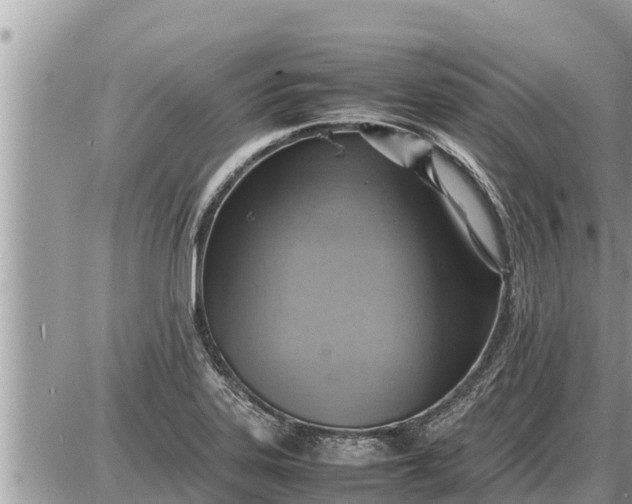 X0000087401323200705042026