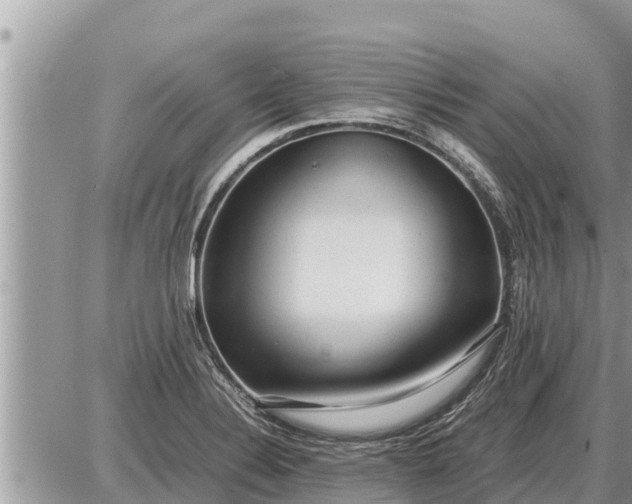 X0000087401324200705042026