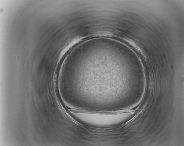 X0000087401325200705042026