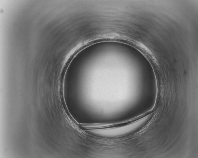 X0000087401326200705042026