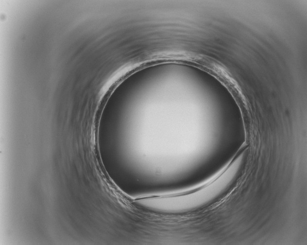 X0000087401328200705042026