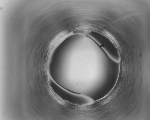 X0000087401330200705042026