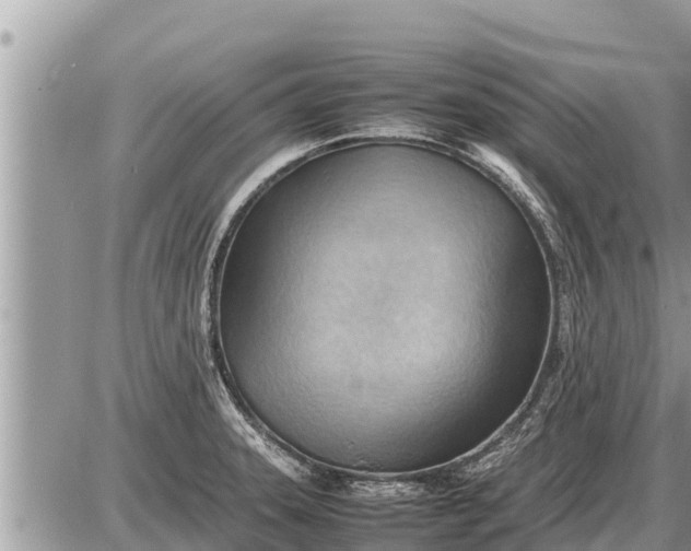 X0000087401331200705042026