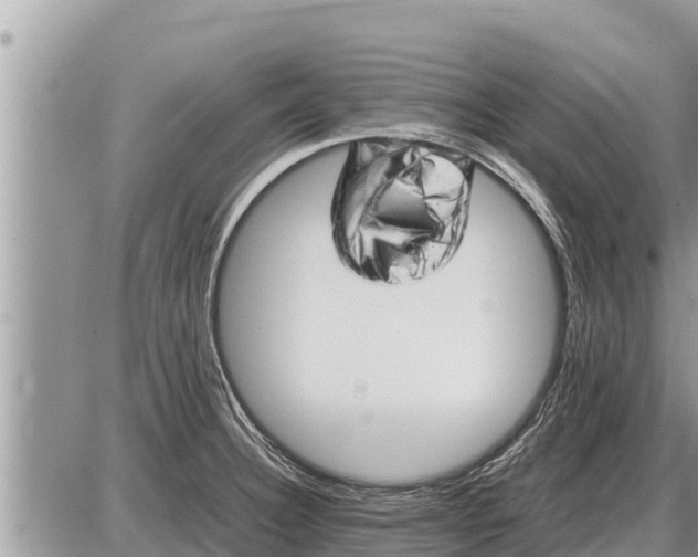 X0000087401332200705042026