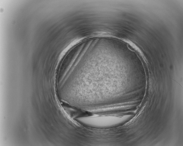 X0000087401333200705042026