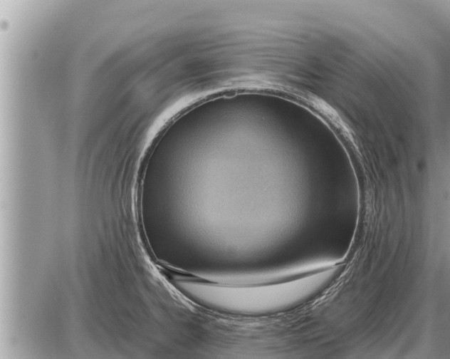 X0000087401334200705042026