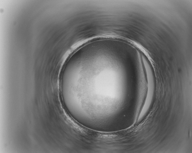 X0000087401335200705042026