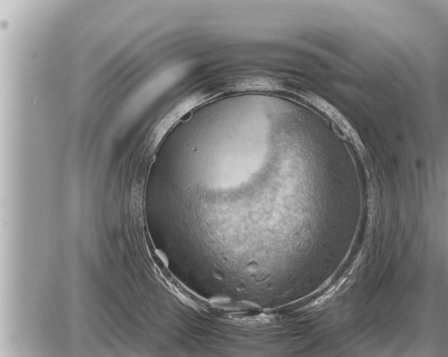 X0000087401337200705042026