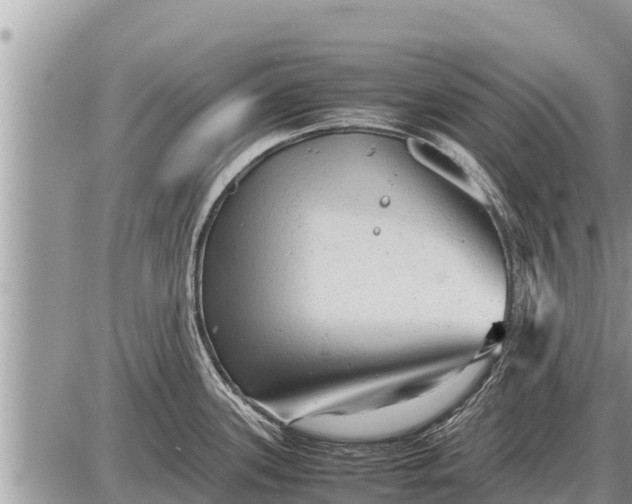 X0000087401339200705042026