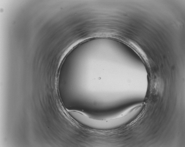 X0000087401340200705042026