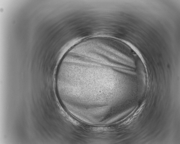 X0000087401341200705042026