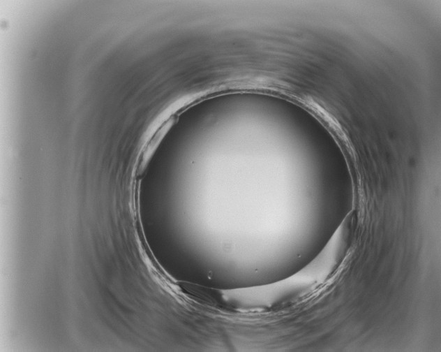 X0000087401342200705042026